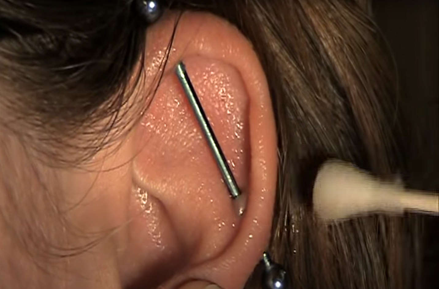 A close up of an industrial piercing being cleaned by a Q-tip.