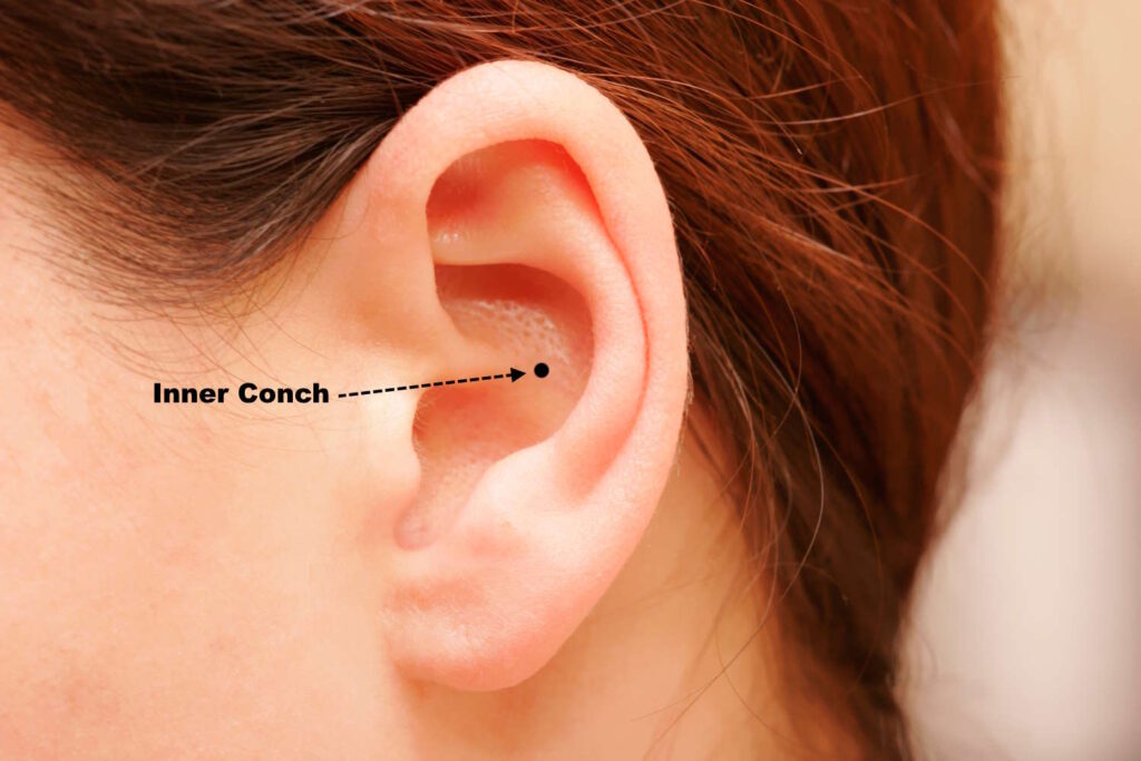An illustration showing the position of the inner conch piercing on an ear.