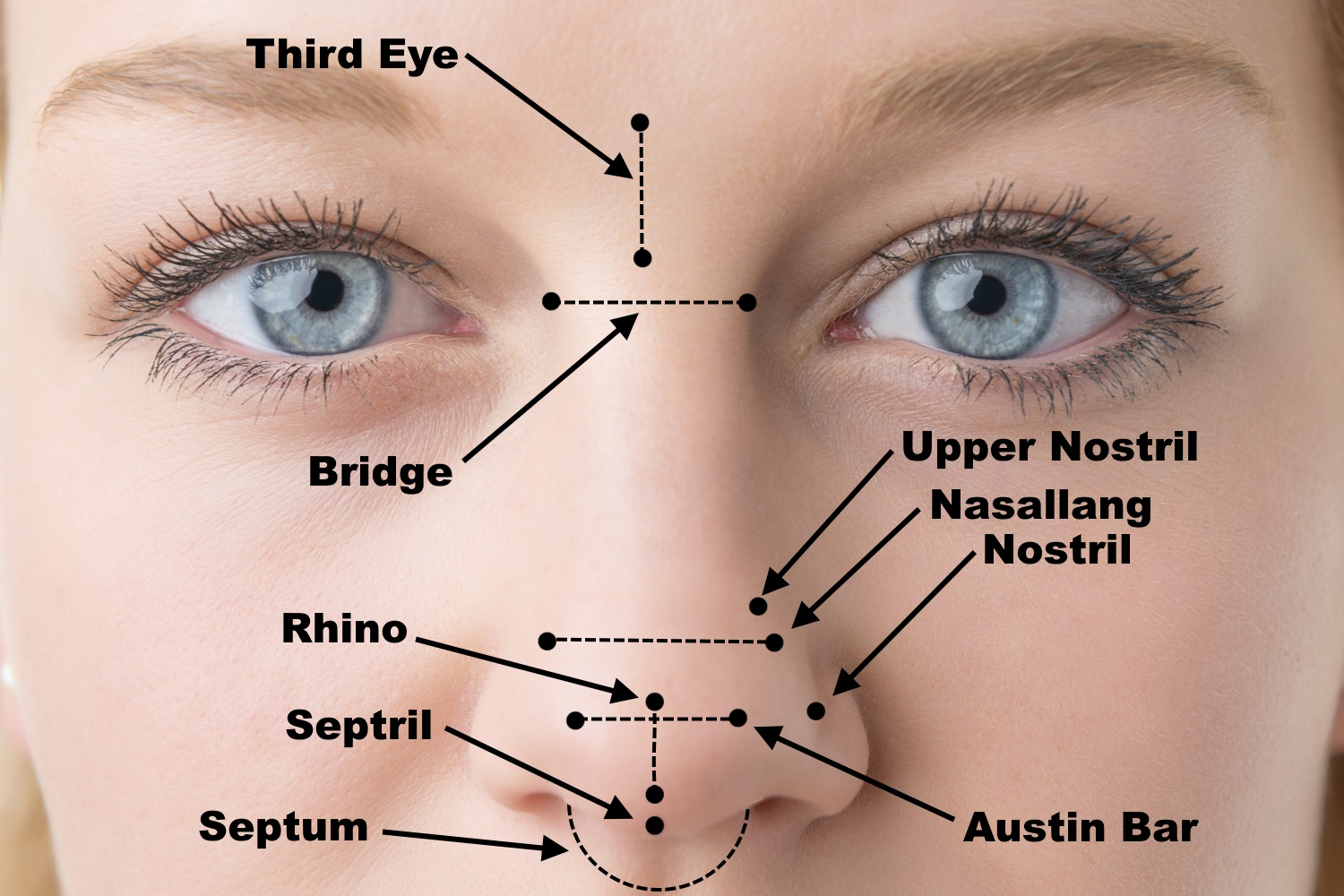 A diagram of the locations of nose piercings.