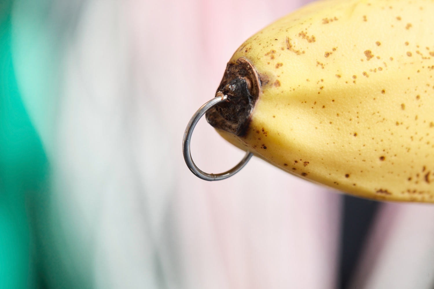 An example using a banana of what a penis piercing would look like.
