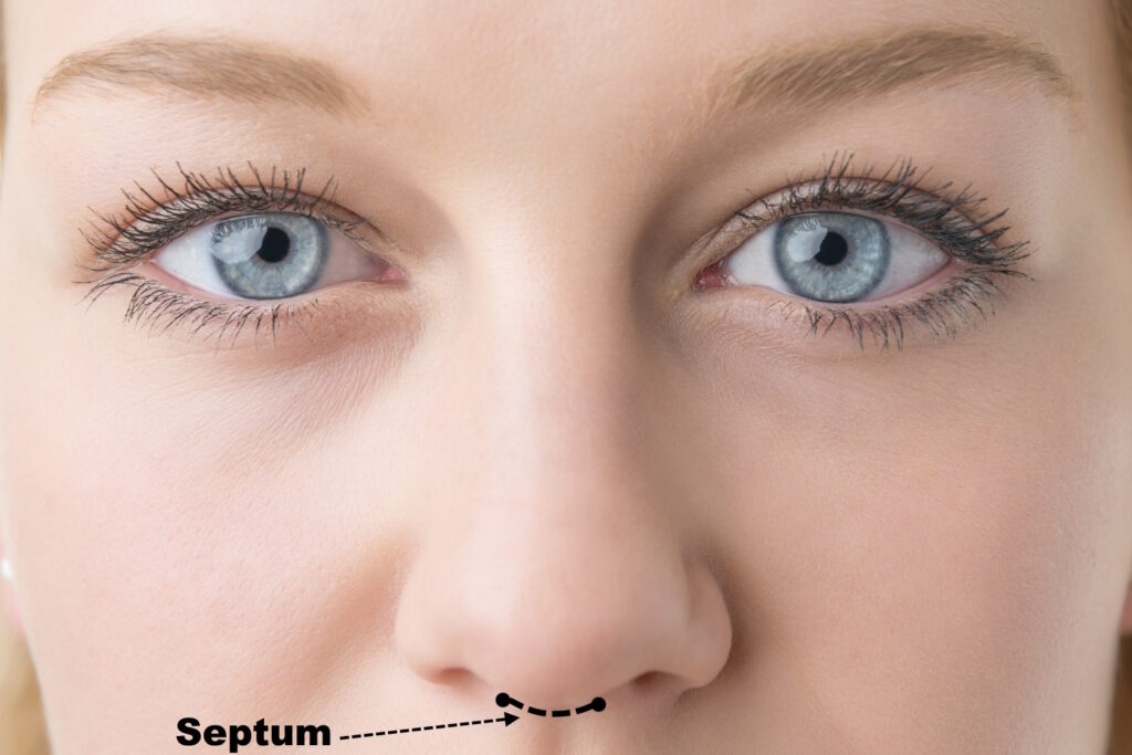 A diagram with a woman's face showing the location of the septum piercing.