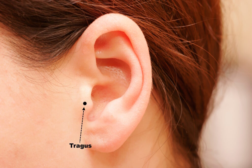 A illustration of the location of a tragus on the ear of a woman.
